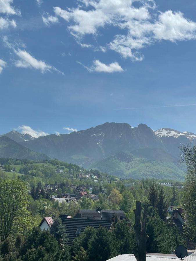Apartamenty Z Widokiem Zakopane Dış mekan fotoğraf