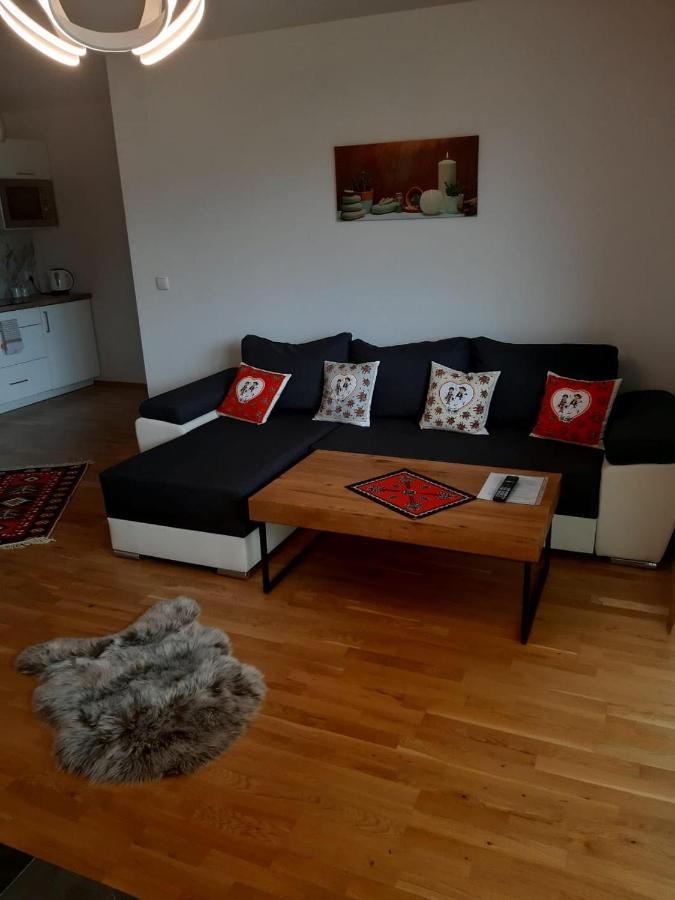 Apartamenty Z Widokiem Zakopane Dış mekan fotoğraf
