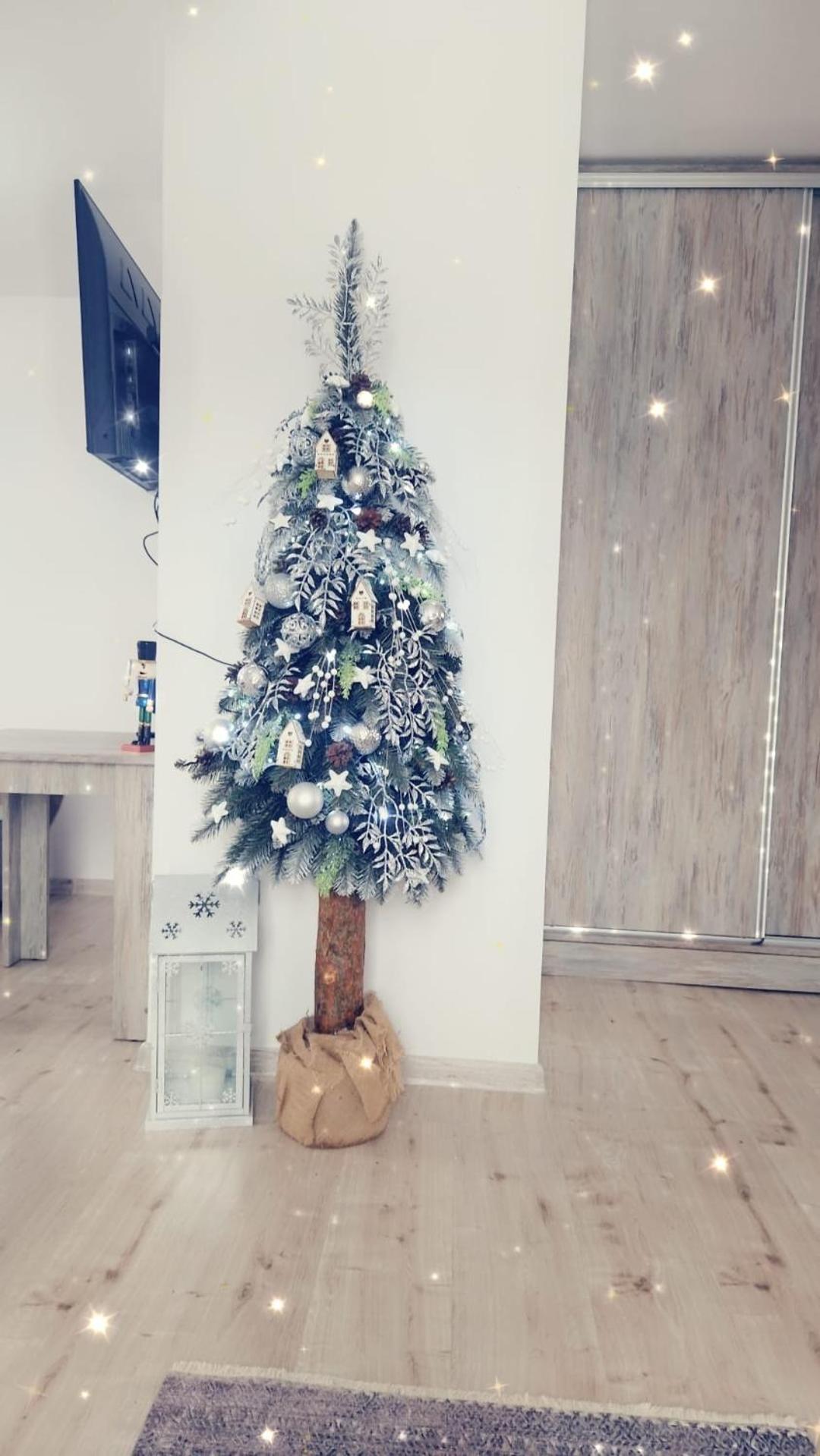 Apartamenty Z Widokiem Zakopane Dış mekan fotoğraf