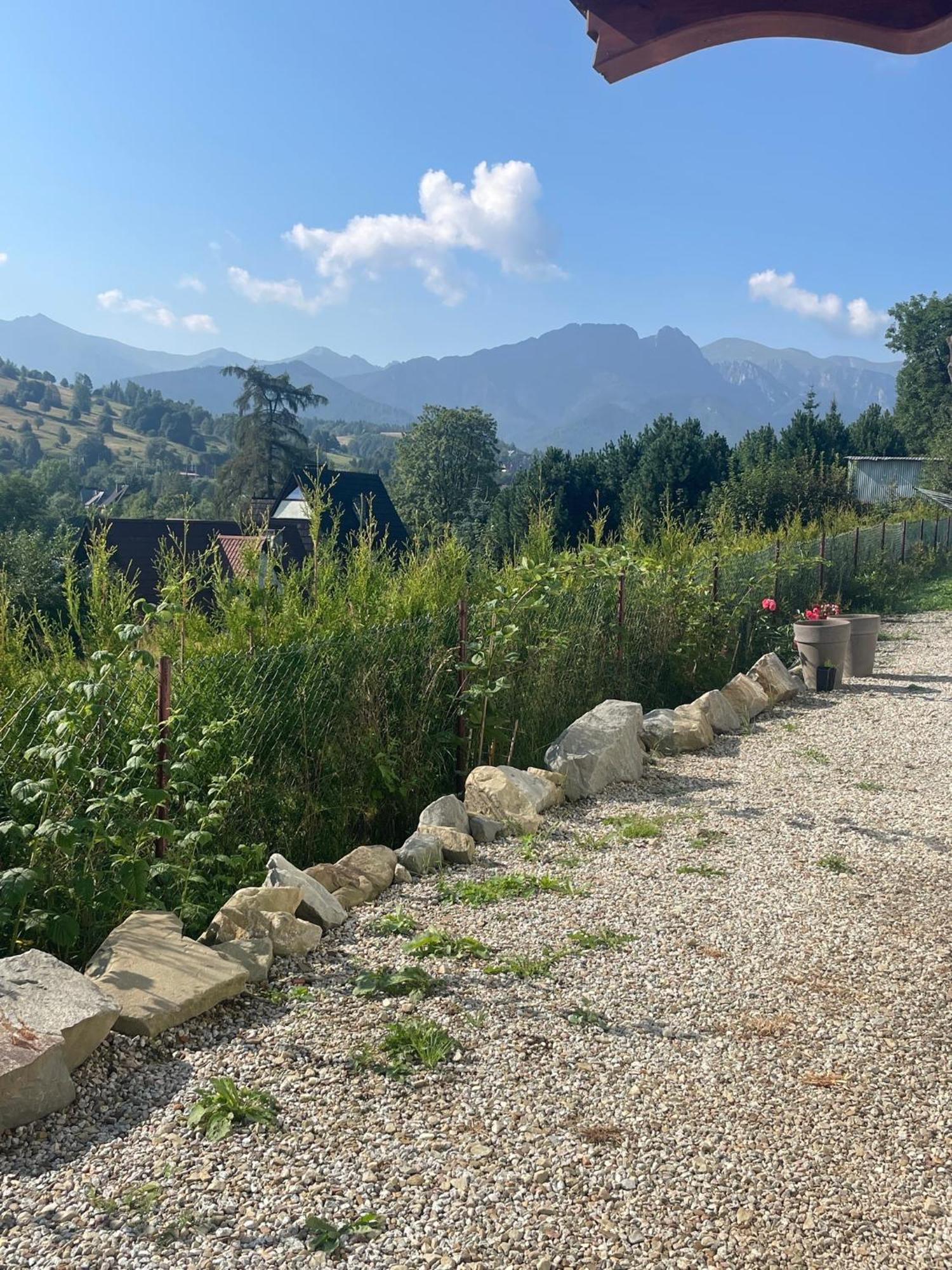 Apartamenty Z Widokiem Zakopane Dış mekan fotoğraf
